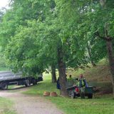 Rekonstrukcija Kameničkog parka 4