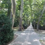 Vršac (2): Priče iz jedne varoši 12