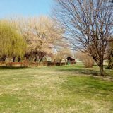 Banja Harkanj: Sumporni pejzaži 1