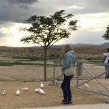 Izrael (8): Desnica kojom je kršten Isus 3