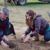 Inđija: Zasađeno 65 ruža u čast osoba sa cističnom fibrozom 6