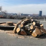 Rezultati ankete: Većina protiv gradnje gondole na Beogradskoj tvrđavi 7