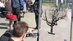 Studentkinje akcijom podsetile na platan na Kalemegdanu (FOTO) 3