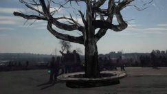 Studentkinje akcijom podsetile na platan na Kalemegdanu (FOTO) 11