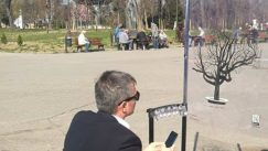 Studentkinje akcijom podsetile na platan na Kalemegdanu (FOTO) 12