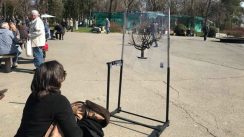 Studentkinje akcijom podsetile na platan na Kalemegdanu (FOTO) 2