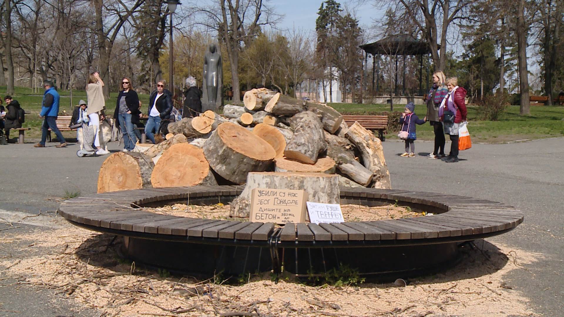 Opština Stari grad ukinula rešenje o stablima, postupak protiv zaposlenog 1