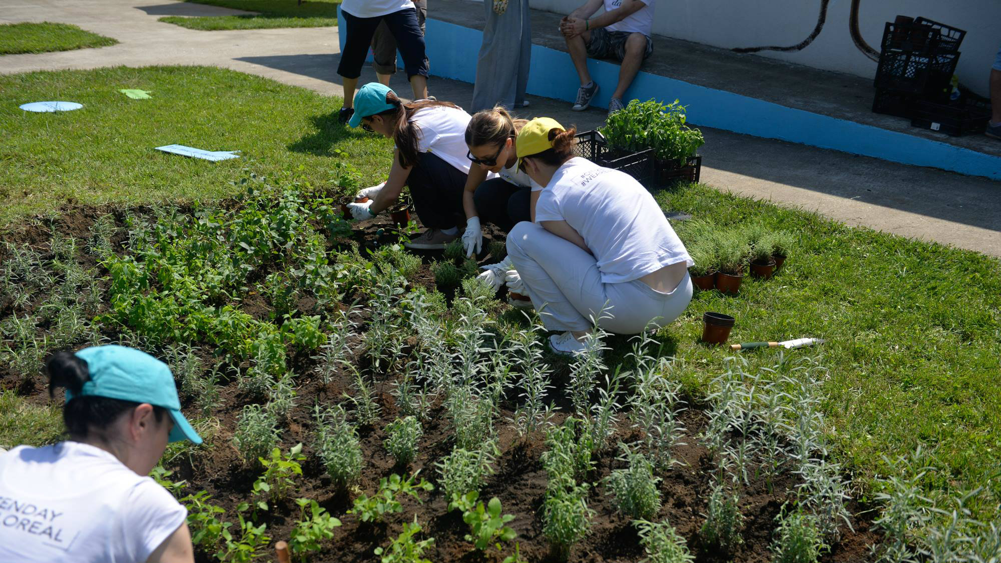 Udruženje Evo ruka: Vaspitani smo da trpimo, ćutimo i da se povlačimo 5 Udruženje Evo ruka: Vaspitani smo da trpimo, ćutimo i da se povlačimo 5