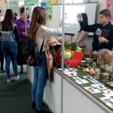 Treći Gimpi fest u pirotskoj Gimnaziji 5