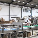 Blagi pad uvoza i izvoza u 2020. 12