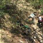 Očišćeno 400 kilograma đubreta kod Brankovog mosta (FOTO) 5