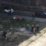 Očišćeno 400 kilograma đubreta kod Brankovog mosta (FOTO) 7