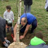 Ne davimo Beograd počinje veliku akciju sadnje drveća "Za naš zeleni grad" 7