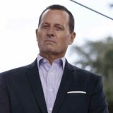 Repriza fijaska ili zrelost Evrope 10