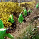 U četiri grada Zelene brigade sakupile više od 1.500 kilograma smeća 5