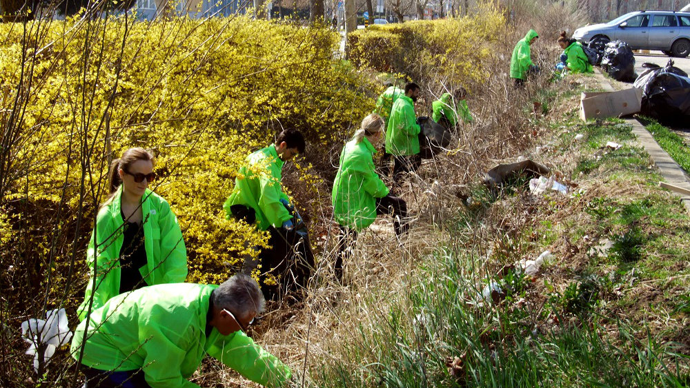 U četiri grada Zelene brigade sakupile više od 1.500 kilograma smeća 1
