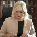 Mihajlović: Lideri SZS govore sve najgore o Srbiji u inostranstvu iz ličnih interesa 5