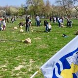 U parku Ušće organizovane akcije sadnje drveća 6