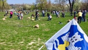 Arhitekta Mitrović: Akvarijum na Ušću biće prilagođen terenu 2