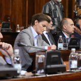 Brnabić: Svetski mediji izveštavali o protestu umesto o godišnjici pogroma 1