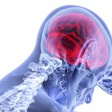 Otkrivene ćelije odgovorne za neprijatnost bola 7