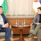 Brnabić sa mađarskim ambasadorom: Zajednička sednica dveju vlada krajem marta 5