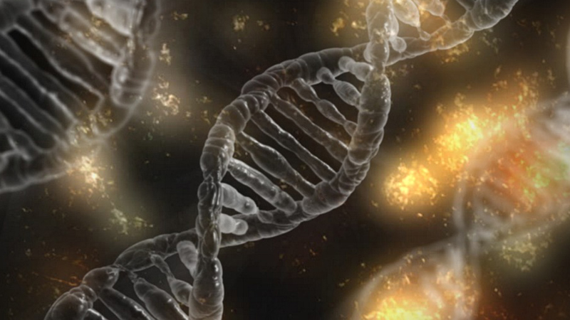 Naučnici: Geni mogu da utiču na to da li ćemo razviti teže oblike korone 1