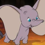 Dambo ponovo leti, 78 godina kasnije (VIDEO) 10