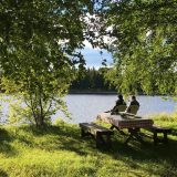 Finska arktička oblast Laponija pogođena rekordnim toplotnim talasom 4