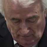 Karadžić: Pobedili smo 1