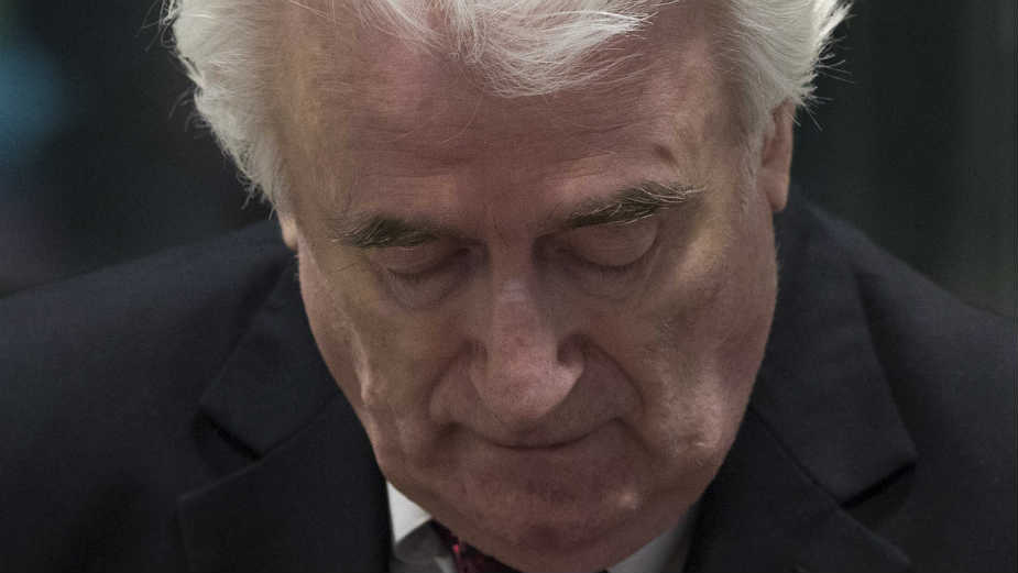 Karadžić: Pobedili smo 1