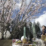 Japanci minutom ćutanja obeležili godišnjicu zemljotresa, cunamija i nuklearne havarije 1