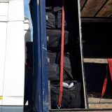 Rekordna zaplena marihuane u blizini Gradine 10