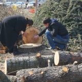 Bastać: Građani će fizički sprečiti gradnju gondole 10