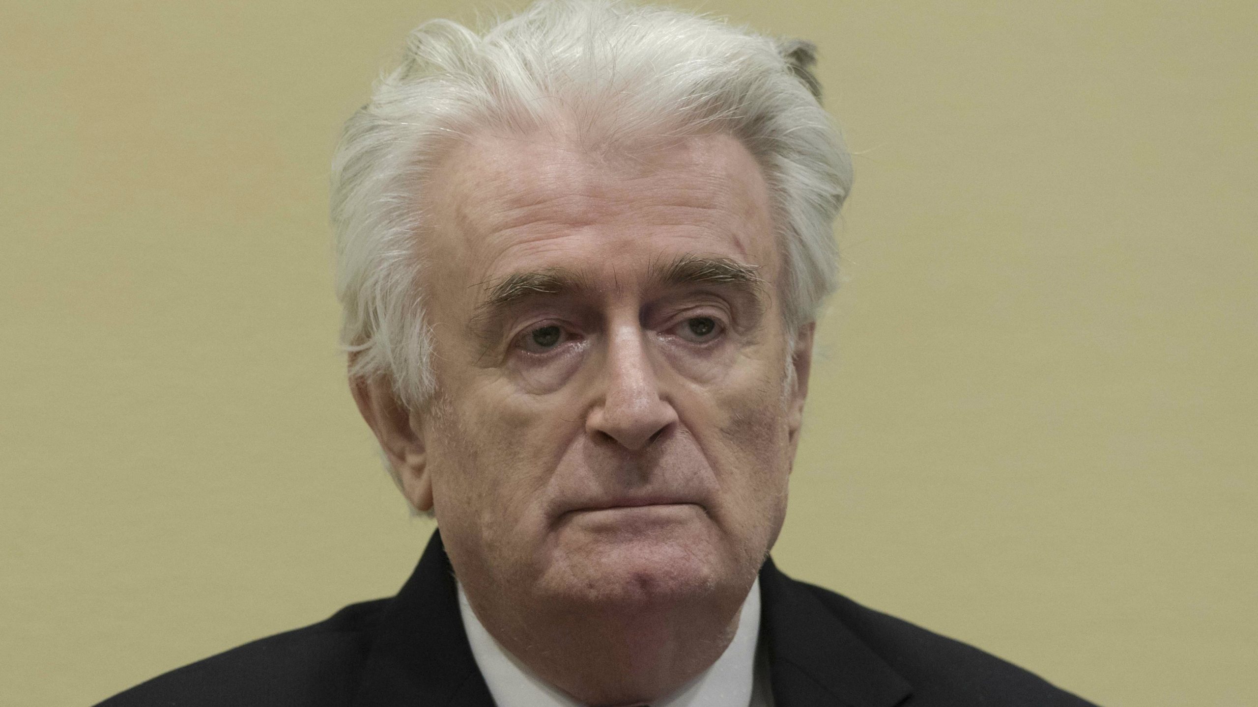 Karadžić osuđen na kaznu doživotnog zatvora 1