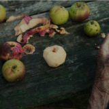 Dokumentarac Maje Novaković u Švajcarskoj 5