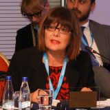 Maja Gojković upoznala predsednika Egipta sa situacijom u Srbiji 5