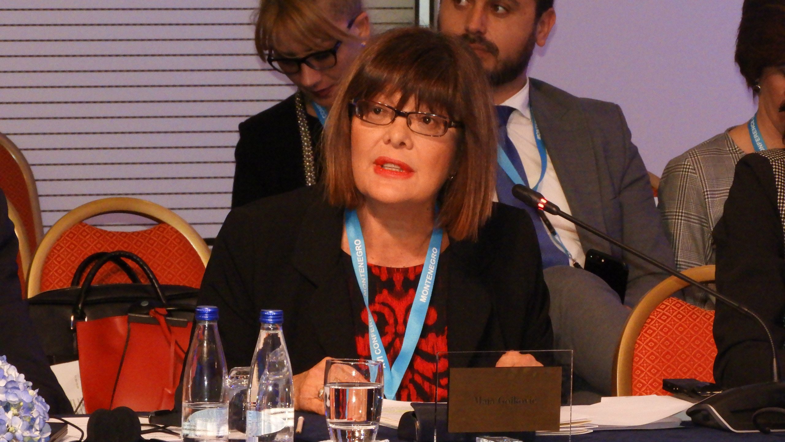 Maja Gojković upoznala predsednika Egipta sa situacijom u Srbiji 1