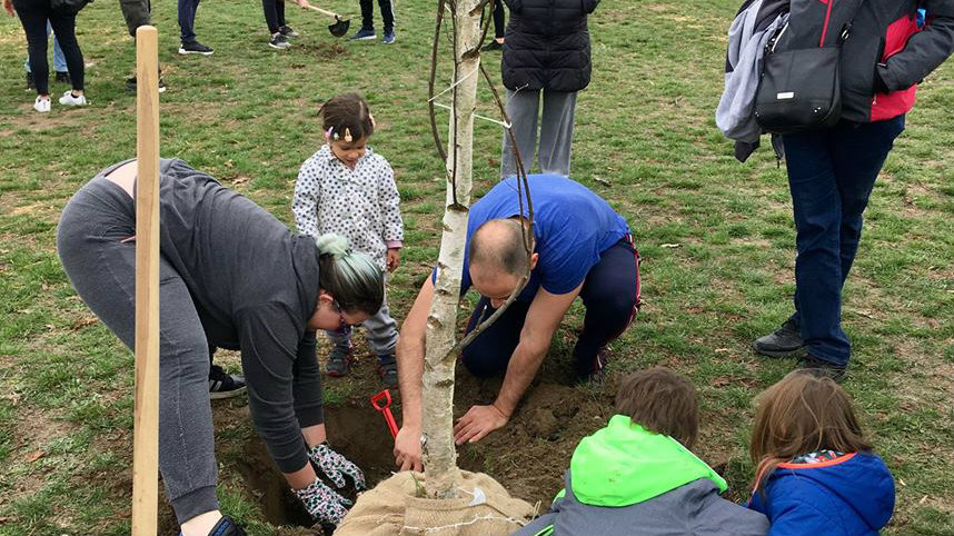 Nova akcija sađenja drveća u parku Ušće 30. marta 1