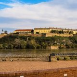 Novi Sad: Održan festival "Čarde i bande" 13