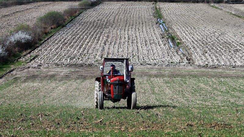 Paori traže subvencionisano gorivo 1