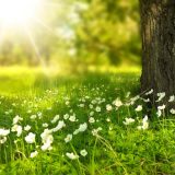 Sat vremena pre ponoći zvanično počinje proleće 6