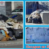 Inicijativa građana "Sačuvajmo Liman od betona" podelila odbornicima razglednice 10
