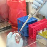 Prva smrt od podtipa ptičjeg gripa: Preminuli muškarac nije bio izložen živini i drugim životinjama 4