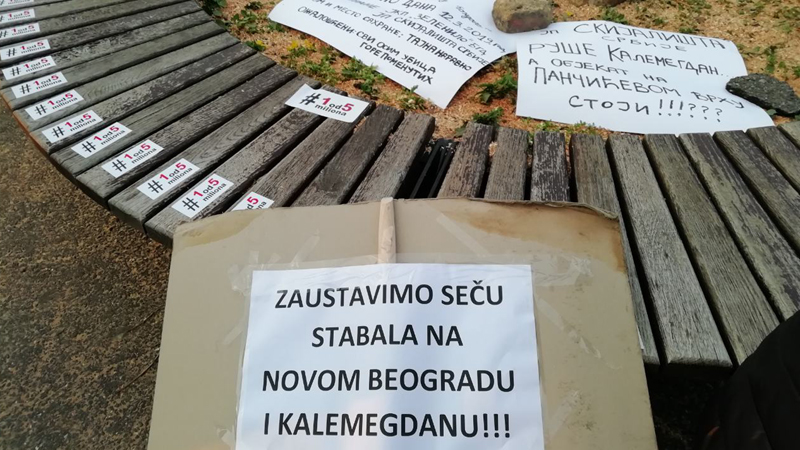 Protest Jedan od pet miliona zbog seče drveća na Kalemegdanu (FOTO) 1