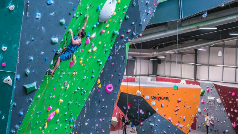 Direktor Zavoda za sport: Stena se pravi zbog šampionke iz Niša 1