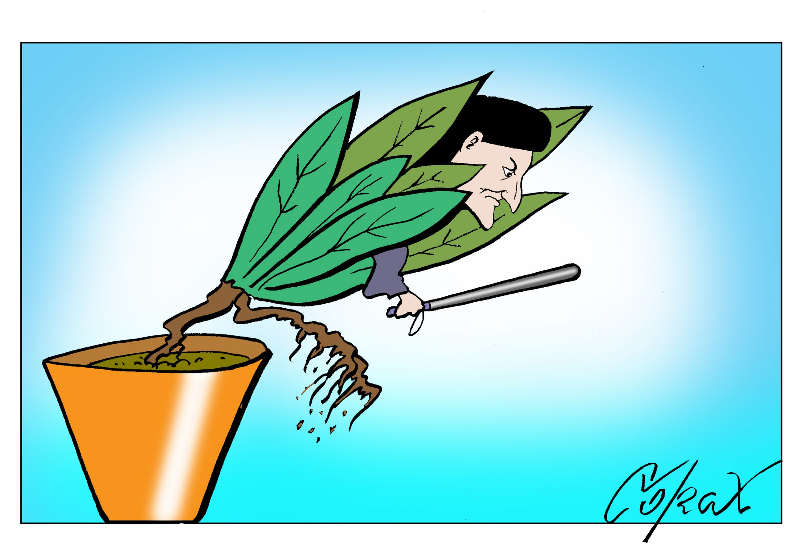 Corax 2