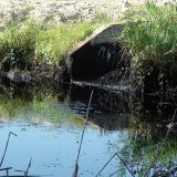 Uštede za privredu oko dve milijarde dinara 2