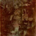 Živeti život Srpkinje ili Srbina na Kosovu i Metohiji je podvig (ENGLISH) 5 Živeti život Srpkinje ili Srbina na Kosovu i Metohiji je podvig (ENGLISH) 5