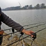 Upecao soma od 55 kilograma (VIDEO) 5